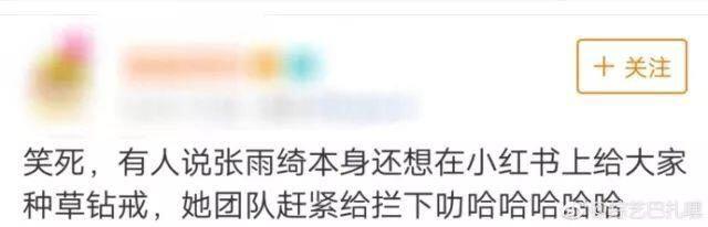 比张雨绮安利的包性价比更高！全在这里了！