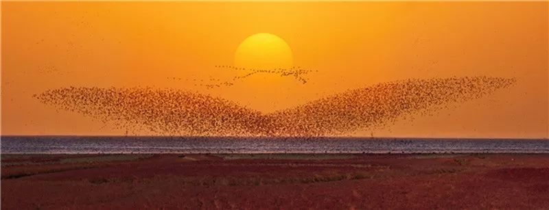 涓浗姊︽捣鎶ュ睍,杞╄緯鎯呬腑鍥芥ⅵ鍏ュ睍鑾峰