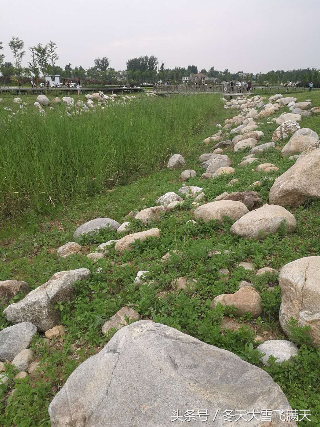 南阳市自然风景好的地方,南阳森林氧吧旅游