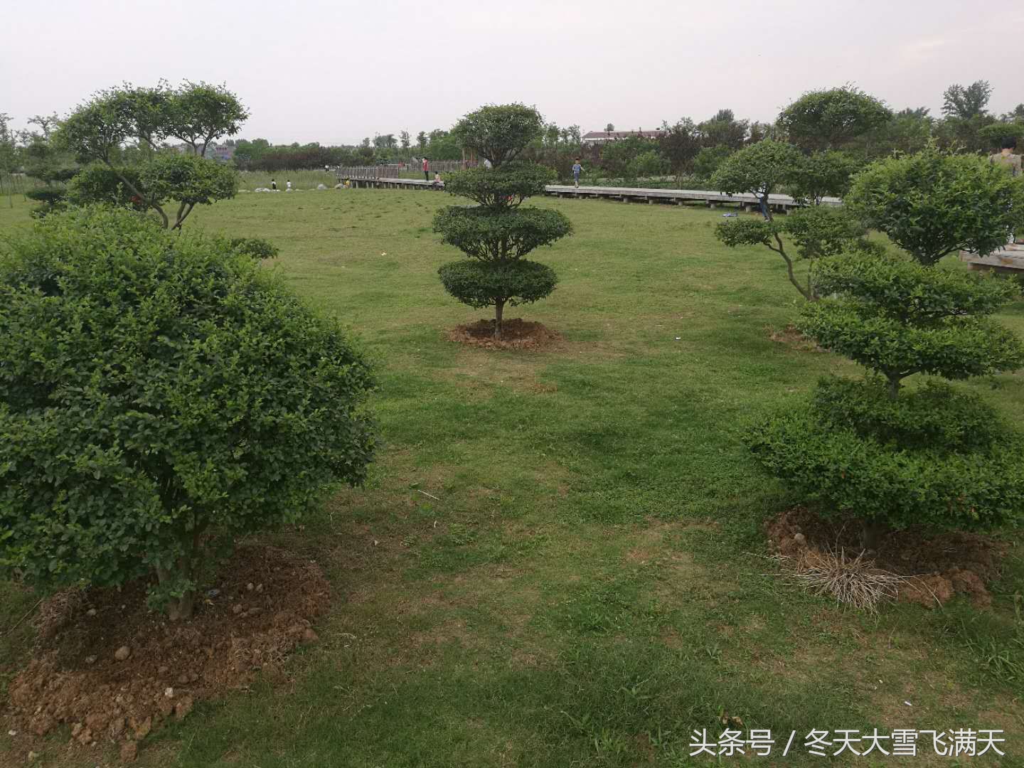 南阳市自然风景好的地方,南阳森林氧吧旅游