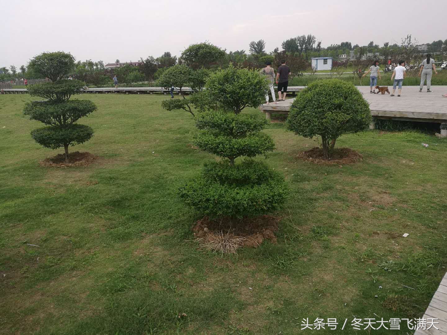 南阳市自然风景好的地方,南阳森林氧吧旅游