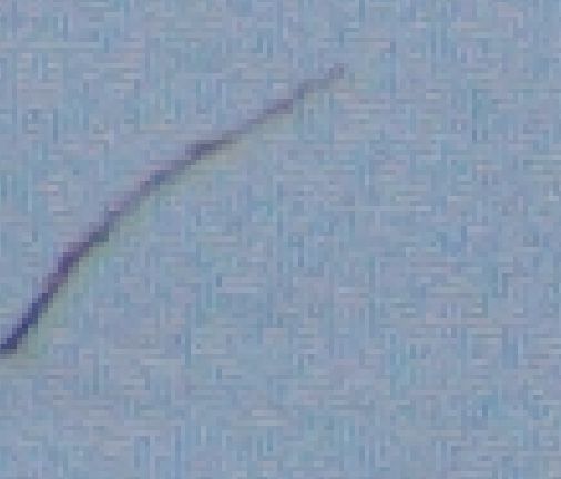 深入底层,深入底层纪录片