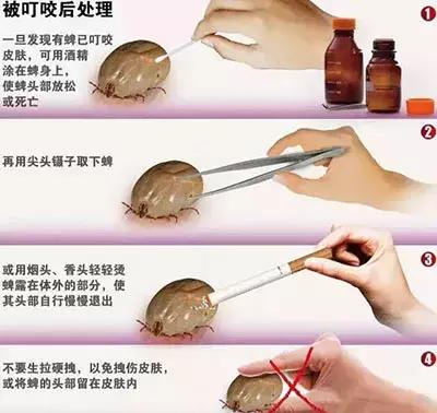 养殖户注意警惕这些疾病,小龟苗头上有白点怎么治疗