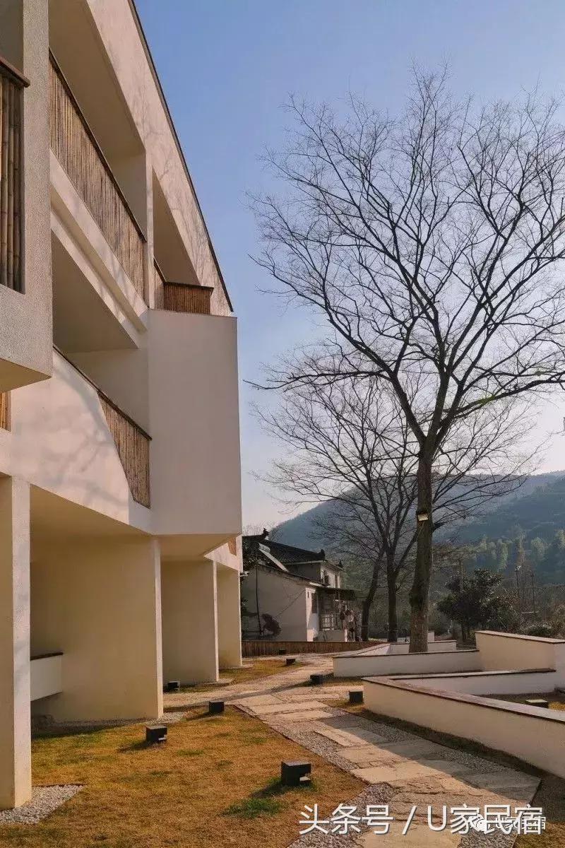 夕阳竹海泡泡浴,真不愧为当地大众点评和美团均排名第一的地方