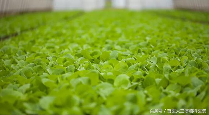 让大脑更高效七个方法,健脑神操30分钟完整版