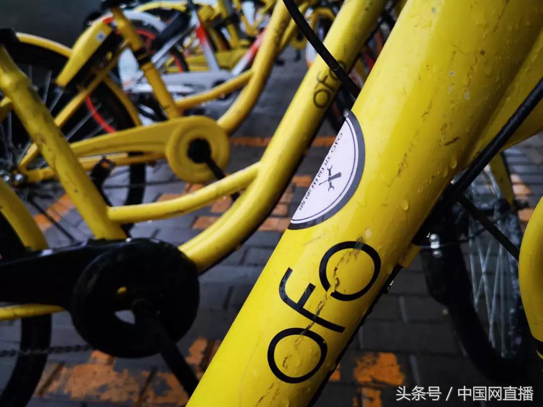 ofo小黄车公司最后怎么样了,ofo裁员50公斤还能撑多久