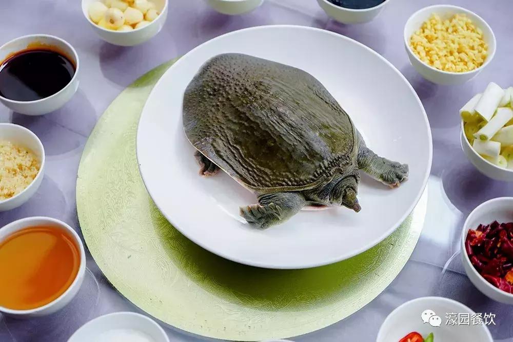 湿气大是拔罐祛湿还是喝中药,湿气重的人怎么排湿拔罐出水蒸气