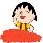 山东大樱桃有虫子吗,完整的大樱桃里面有虫子吗