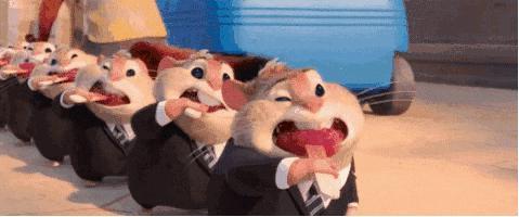 合肥最贵贵贵贵贵的餐厅汇总,还没看到最后一家我就哭了~