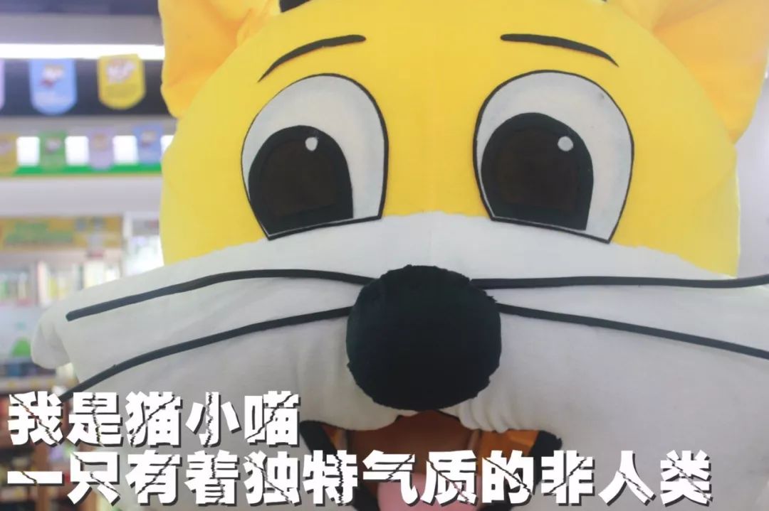 涓婃捣鐚弸绉戞妧鏈夐檺鍏徃,涓婃捣鐚弸绉戞妧鑲′唤鏈夐檺鍏徃