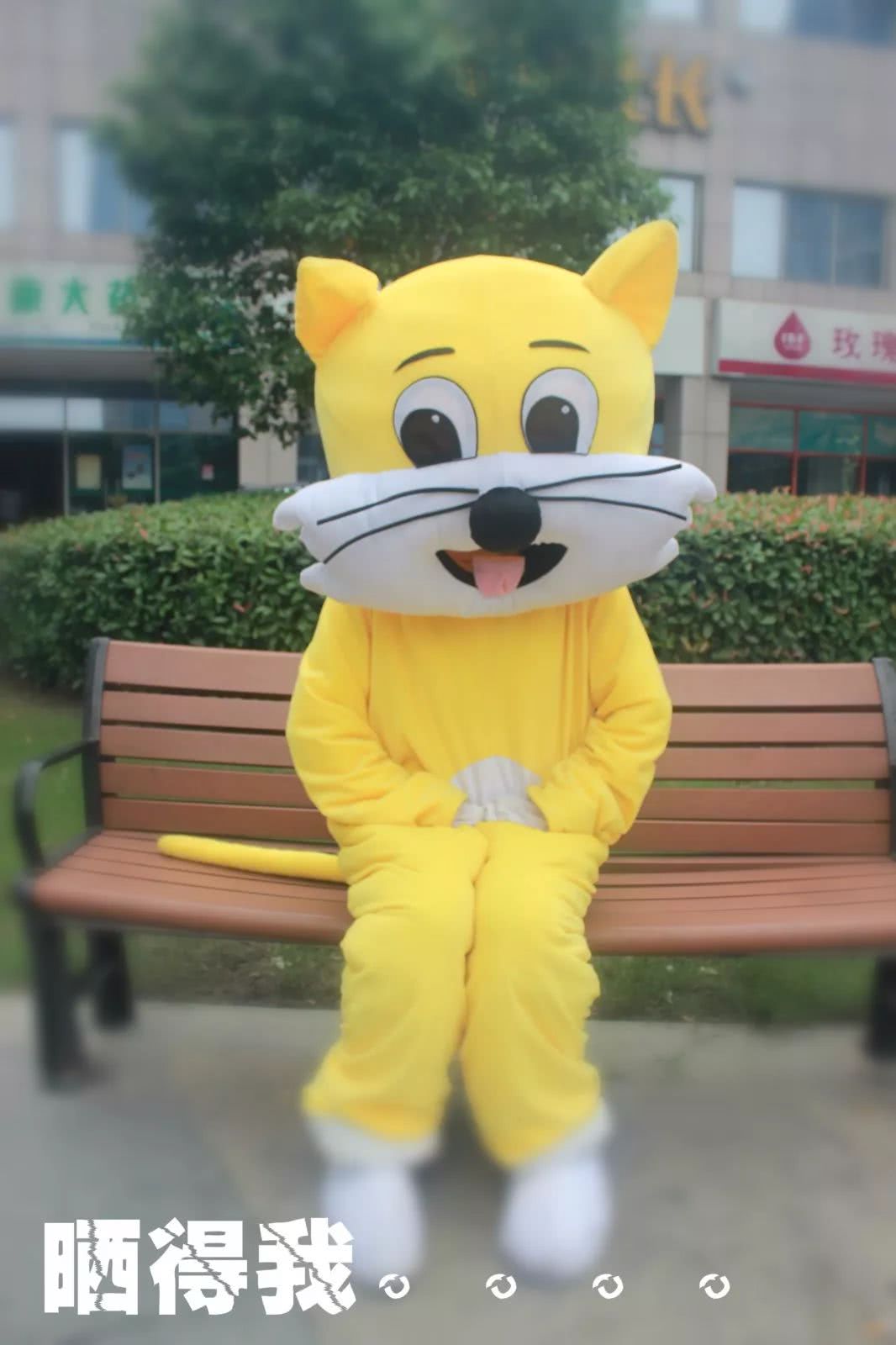 涓婃捣鐚弸绉戞妧鏈夐檺鍏徃,涓婃捣鐚弸绉戞妧鑲′唤鏈夐檺鍏徃