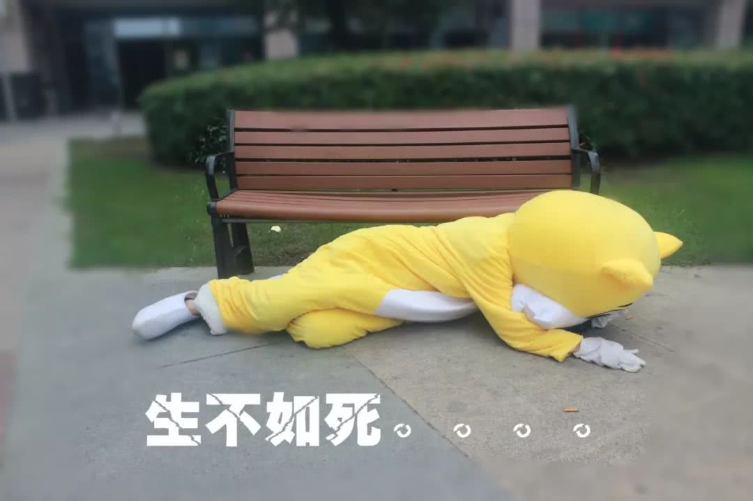 涓婃捣鐚弸绉戞妧鏈夐檺鍏徃,涓婃捣鐚弸绉戞妧鑲′唤鏈夐檺鍏徃