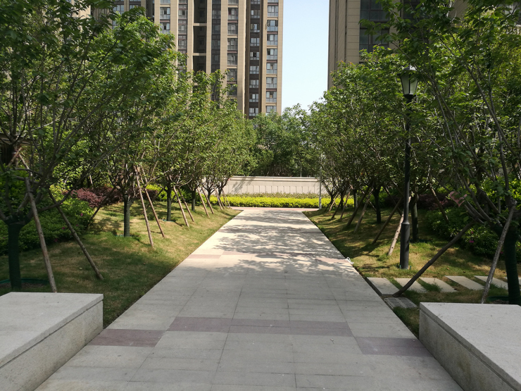 常西湖新区现房8000多一平,常西湖新区有哪些楼盘