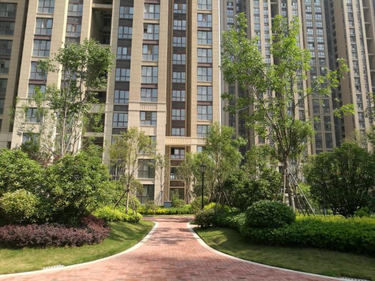 常西湖新区现房8000多一平,常西湖新区有哪些楼盘