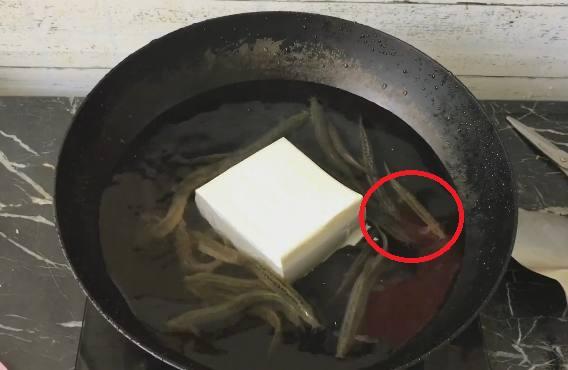 为逗女友开心，小伙做了一道名菜，泥鳅钻豆腐，结果小伙懵了