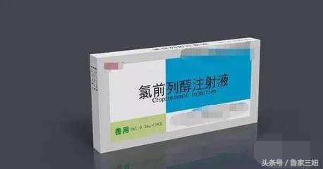 母猪技术技巧和经验,母猪用氯前列醇多长时间下崽