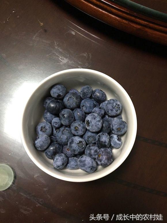 蓝莓护眼明目,蓝莓护眼必备