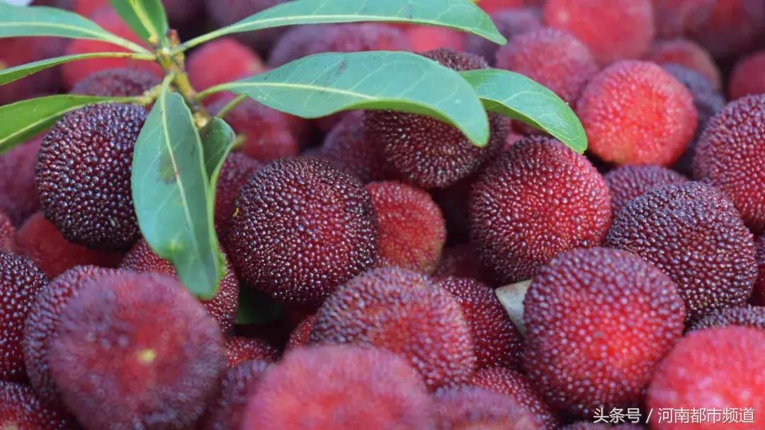 不可思议的食物有哪些,不可思议的吃水果习惯