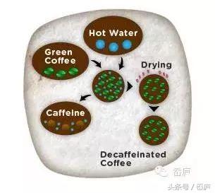 最会卖咖啡的日本人,这次盯上低因咖啡了?!