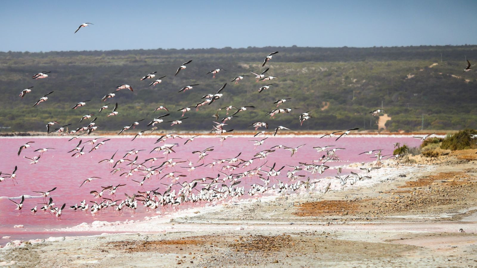 澳大利亚省钱攻略,不可错过的景点攻略