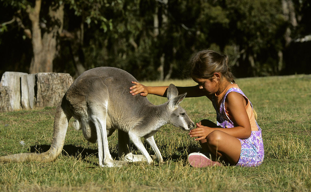 澳大利亚省钱攻略,不可错过的景点攻略