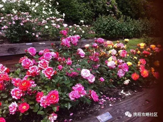 美国旅游自由行攻略大全,美国小众旅游