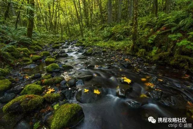 美国旅游自由行攻略大全,美国小众旅游