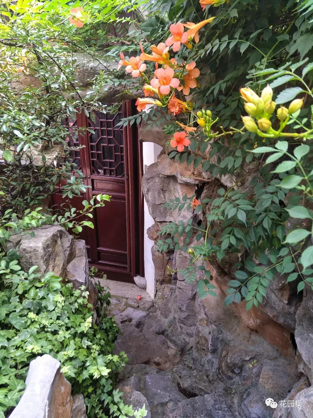 200平米的院子设计不带水景,好看大气的中式庭院