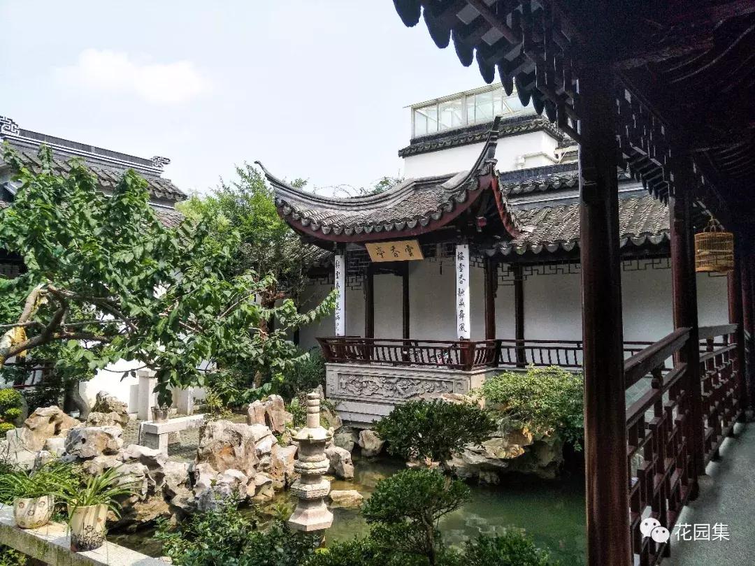 200平米的院子设计不带水景,好看大气的中式庭院