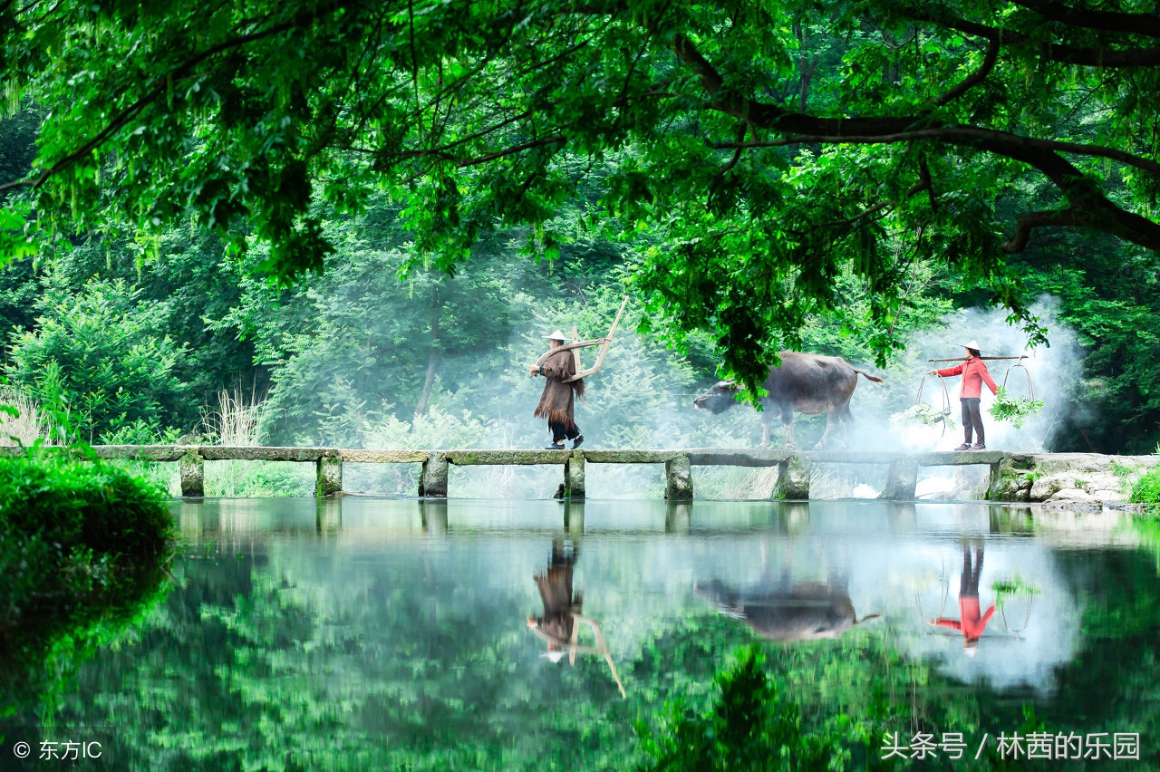 描写山水田园生活风光的古诗,描写山居田园生活的诗句