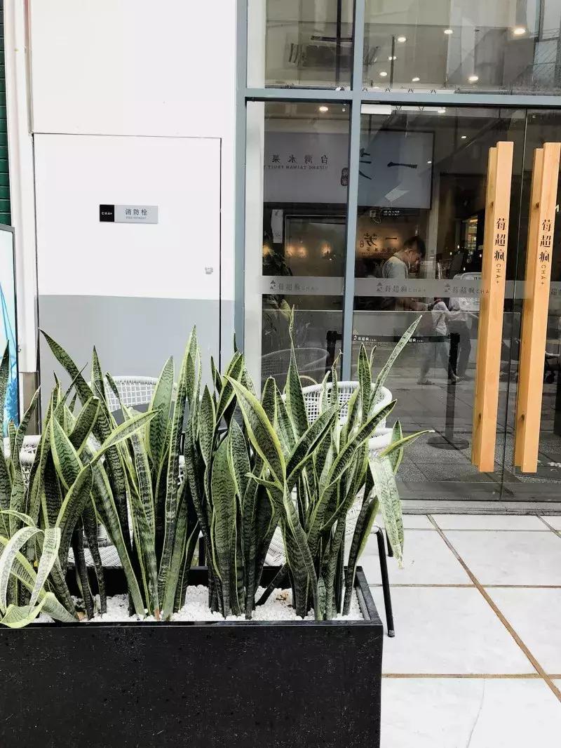 福州好喝的奶茶推荐,福州最好喝的奶茶排名前十