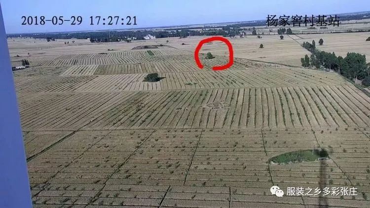 视频监控到底有多清晰？全县覆盖！你还敢以身试法吗？