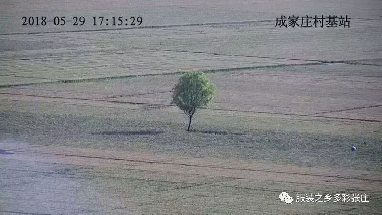 视频监控到底有多清晰？全县覆盖！你还敢以身试法吗？