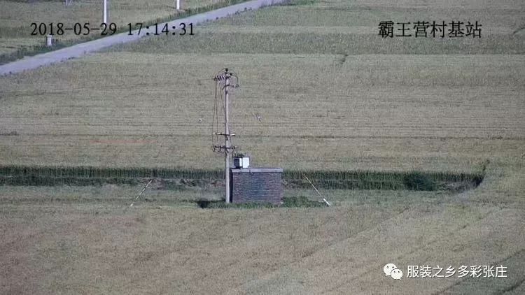 视频监控到底有多清晰？全县覆盖！你还敢以身试法吗？