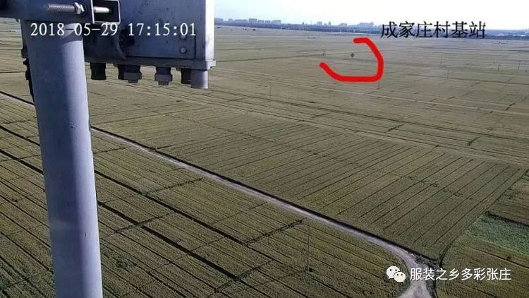 视频监控到底有多清晰？全县覆盖！你还敢以身试法吗？