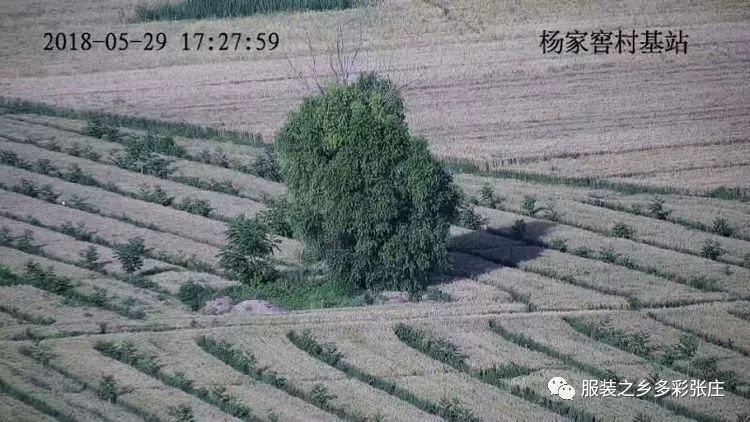 视频监控到底有多清晰？全县覆盖！你还敢以身试法吗？