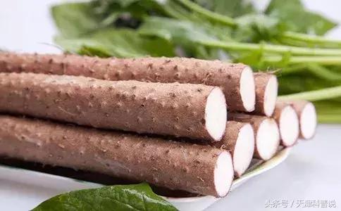 烧仙草放的是龟苓膏还是仙草,烧仙草就是龟苓膏么