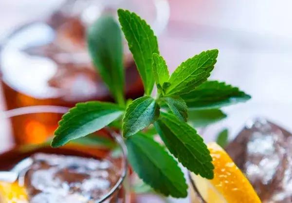 泰莱再次发力甜菊糖市场,购买美国甜菊糖供应商15%的股份