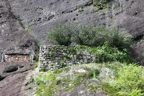 中国十大土豪茶,喝一口几万块都没了!