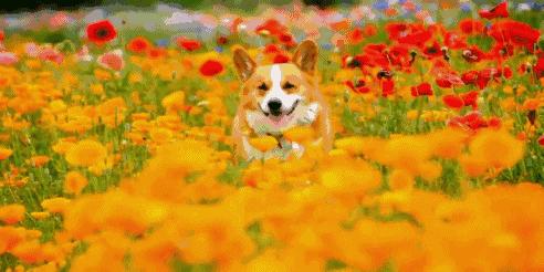 美女老板娘、茶馆、小清新,它在合肥