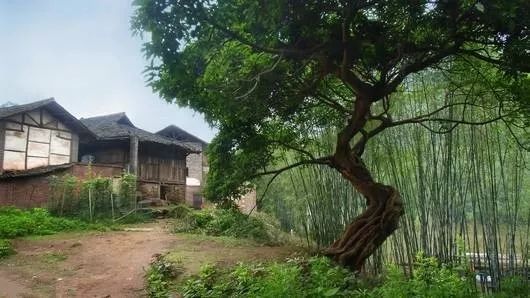 夏天避暑和旅游最好的城市,夏天避暑旅游必去的地方