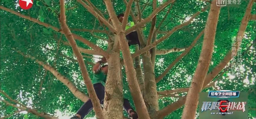 放弃《极挑》的观众再等等,网友说,这一期挽回了我的心