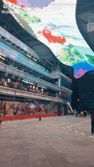 郑州抖音上最火的歌曲,郑州的神曲