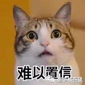 派多格宠物店加盟排行榜,派多格宠物店加盟哪个品牌好