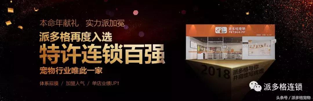 派多格宠物店加盟排行榜,派多格宠物店加盟哪个品牌好