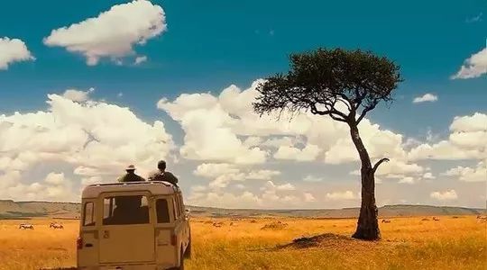 毒液穿越宇宙,影视经典科幻毒液