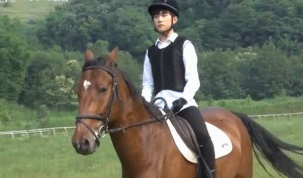 易烊千玺全能,易烊千玺样样行介绍