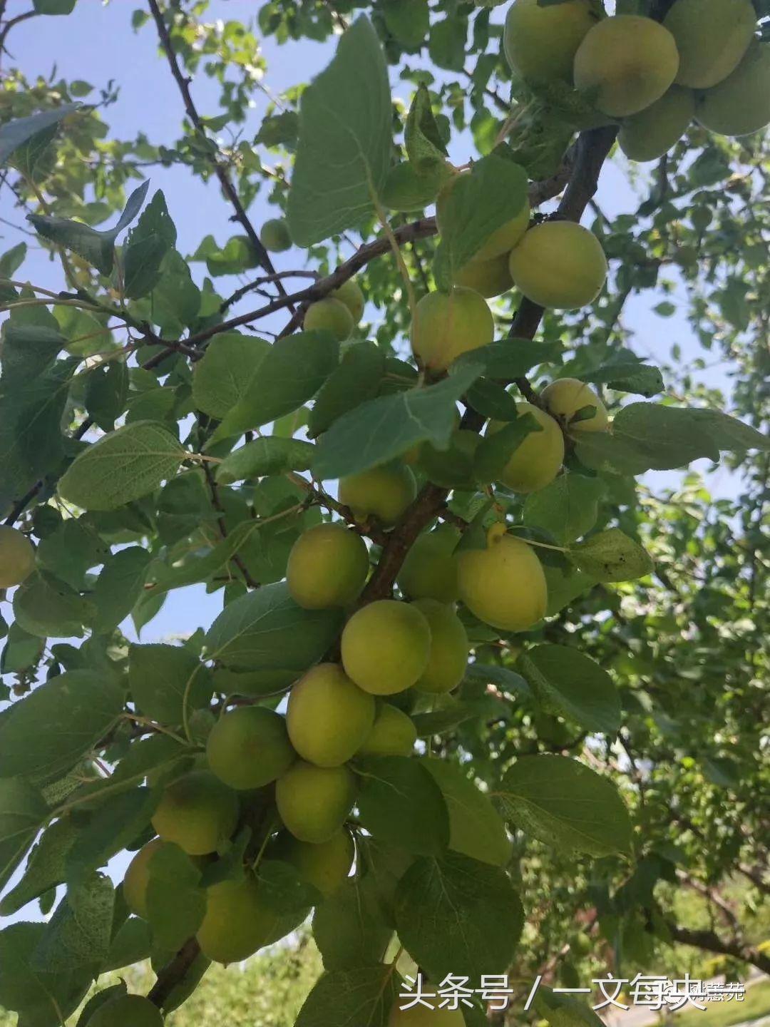 诗词大会冠军外卖小哥雷海为,杭州外卖小哥诗词大赛冠军