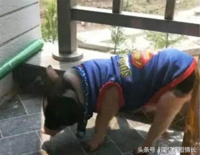 宿舍10大奇葩事,十大宿舍奇葩的事