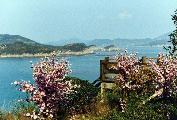 83版射雕英雄传拍摄地景点,83版射雕桃花岛在哪取景